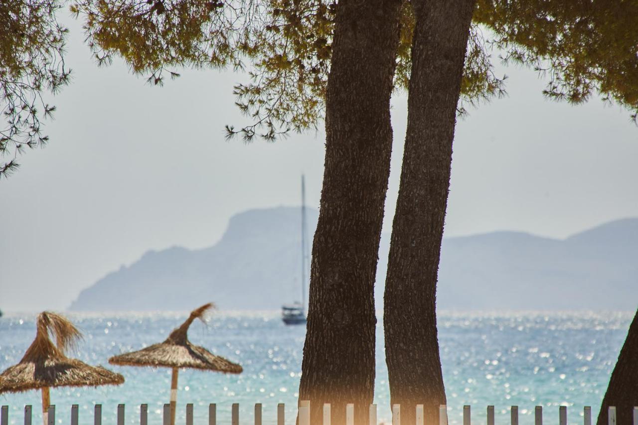 Sofia Alcudia 4* Port d'Alcúdia
